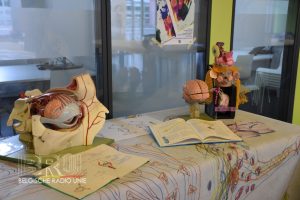 Dag van de Wetenschap