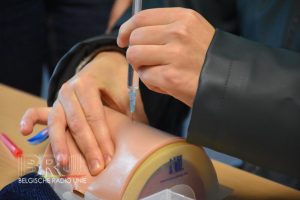 Dag van de Wetenschap