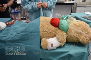 Dag van de Wetenschap