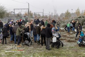 Geboortebos Harelbeke