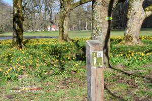Inclusieve ontdek- en beweegroute Provinciedomein Bulskampveld