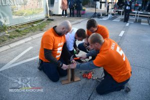 Koning Ezelverkiezing 2025