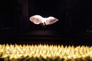 Lichtfeest Lissewege