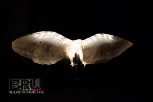 Lichtfeest Lissewege