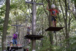 Open Gaversdag Harelbeke