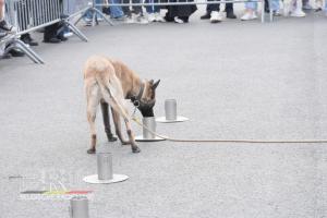 Opendeur Politieschool Zedelgem