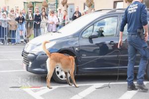 Opendeur Politieschool Zedelgem
