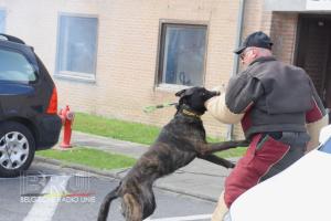 Opendeur Politieschool Zedelgem