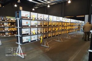 West-Vlaams kampioenschap voor siervogels