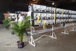 West-Vlaams kampioenschap voor siervogels