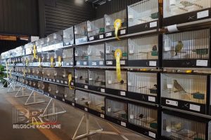 West-Vlaams kampioenschap voor siervogels