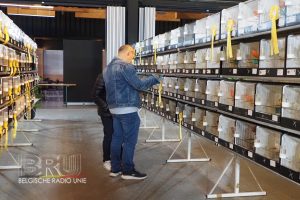 West-Vlaams kampioenschap voor siervogels