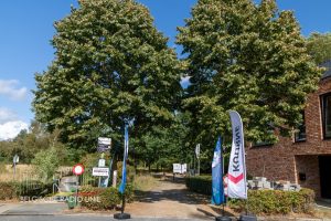 Feest in het Groen