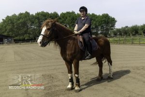 G-sporters Ruiterclub Leiedal trekken vol ambitie naar Special Olympics