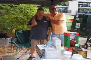Grote Kuurnse Rommelmarkt
