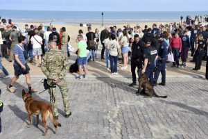 International K9 day op het strand van Koksijde