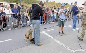 International K9 day op het strand van Koksijde