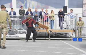 International K9 day op het strand van Koksijde