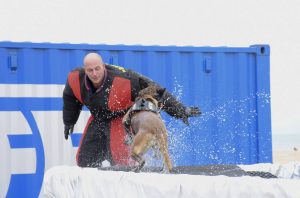 International K9 day op het strand van Koksijde