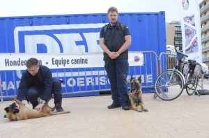 International K9 day op het strand van Koksijde