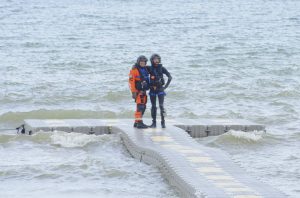 International K9 day op het strand van Koksijde