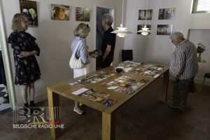 Kunst en stilte vinden elkaar in het Begijnhof van Gent