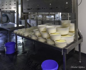 Les Fromages de Thoricourt
