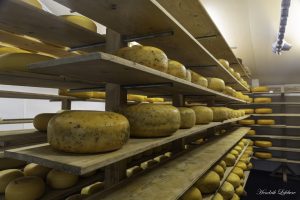 Les Fromages de Thoricourt