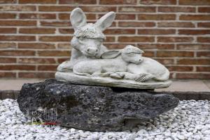 Koning Ezel Wandeling 2024