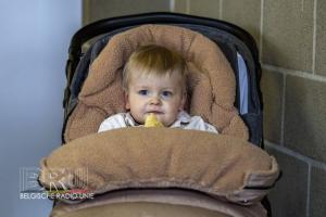 Koning Ezel Wandeling 2024