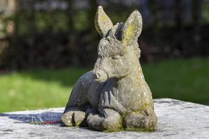 Koning Ezel Wandeling 2024