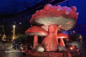 Bellewaerde Winter 2024