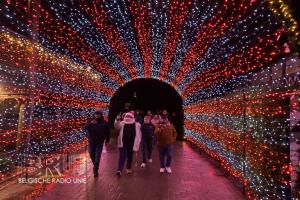 Bellewaerde Winter 2024